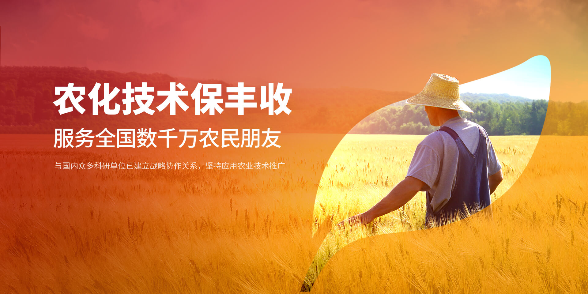 安阳花蝶直播APP平台新肥科技有限公司